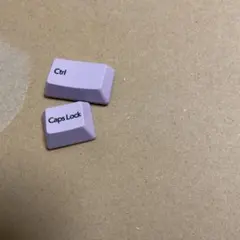 Realforce R3 日本語　スモーキーライラック　control、caps