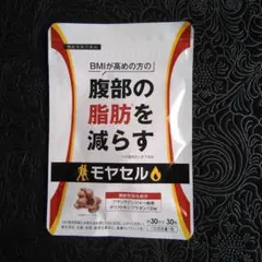 2026年最新】モヤセルの人気アイテム - メルカリ