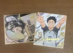 赤葦京治 ハイキュー 色紙 2枚セット