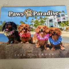 Item thumbnail for item 4372a064-6063-4106-9a19-c8548e962399