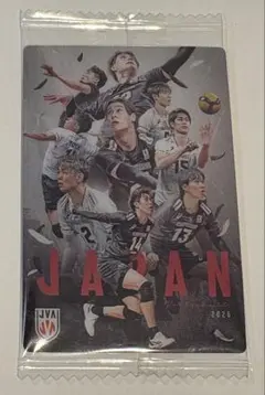 バレーボール男子日本代表 2026 トレーディングカード 3-34SP 集合B
