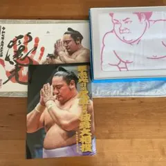 【美品】令和7年5月31日 引退 襲名披露 琴恵光 尾車襲名 記念品　3点
