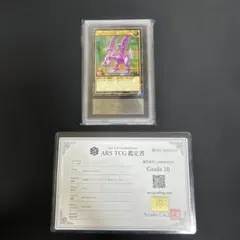 ポケモンカードナタネの活気 SAR ARS鑑定 10+ 鑑定書付き - メルカリ