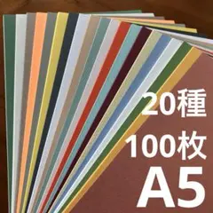 特殊紙　詰め合わせ　A5　20種　100枚セット　【NTラシャ多め】