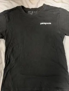 patagonia XL Tシャツ　黒、白2枚セット