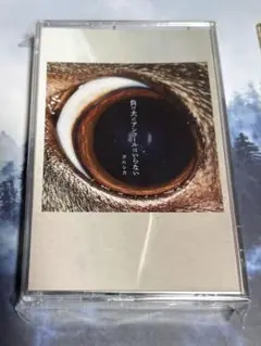 n-buna CD アンコール 2025年最新】n-buna アンコールの人気アイテム - メルカリ