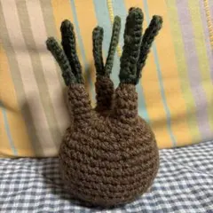 ハンドメイド グラキリス