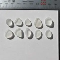 15シーグラス