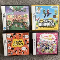 DSソフト　　パッケージのみ