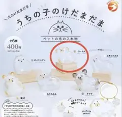 うちの子のけだまだま プードル