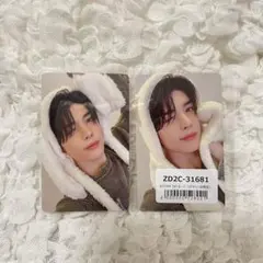 &TEAM 雪明かり MAKI アニマルトレカ 2枚セット