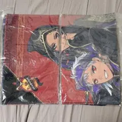 ツイステッドワンダーランド　スカラビア寮　フェイスタオル2点セット