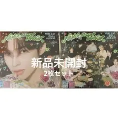 ハンビン　全員ver デジパ　新品未開封　２枚セット