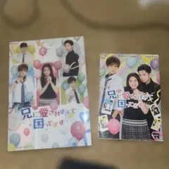 兄に愛されすぎて困ってます Blu-ray 小説 パンフレット