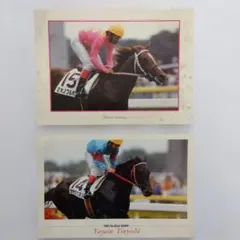 092 シンボリルドルフ まねき馬倶楽部 競馬 カード - メルカリ