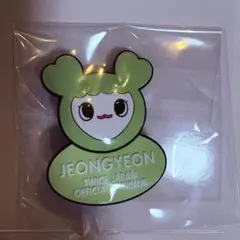 TWICE ジョンヨン ペンライトデコレーションリング