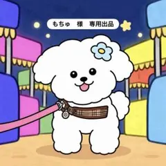 もちゅ様　専用出品