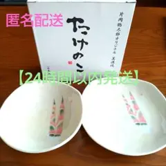 新品未使用 片岡鶴太郎 オリジナル 美濃焼 たけのこ 小鉢、平皿セットのサムネイル