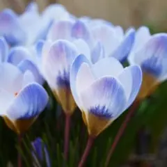 Yuki様 リクエスト 2点 まとめ商品