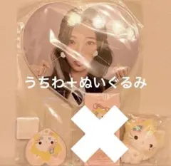 ITZY CHAE RYEONG 直筆サイン入りうちわ カバー付き - メルカリ
