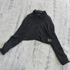 シーイン SHEIN　シースルーブラウス　ショート丈トップス　長袖　ラメ　XS