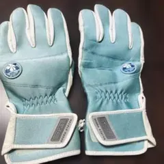 Item thumbnail for item f11c5e1f-6d98-4a33-94eb-c52ac78dc298