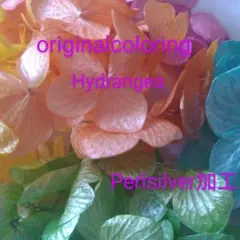 クラフトカモミール　リピ割あり8％様 リクエスト 2点 まとめ商品