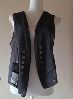 シースルーベスト！レトロ