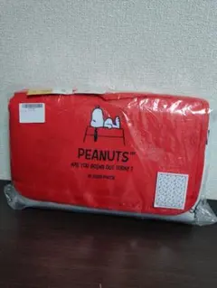 ★ファミリアスヌーピー☆収納バッグ付き レジャーシート☆50年代スヌーピー★ ☆ファミリアスヌーピー☆収納バッグ付き レジャーシート☆50