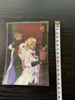 【未開封】ツイステ ポストカード スカラビア寮 カリム ジャミル