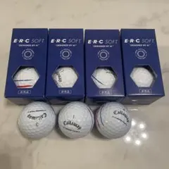 Item thumbnail for item 166f59df-0b1e-4eb2-9d40-3149d60f09b8