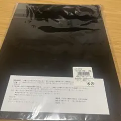 Item thumbnail for item 4f30b303-35b1-4937-a636-593903bb6ed8