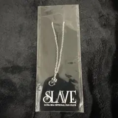 Item thumbnail for item 7527b04b-e36b-48d4-aaab-3d6526156582