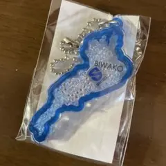 あぁちゃんばぁば様 リクエスト 2点 まとめ商品