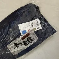 シーベック　冬の主役　パンツ　紺　M ②