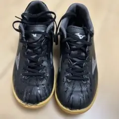ミズノ　モナルシーダネオ フットサルシューズ　21.5センチ