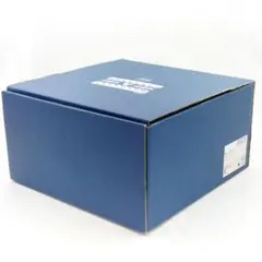 未使用 ディズニー パスタプレート 5枚 セット 三郷陶器