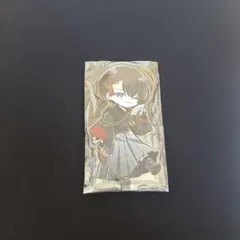 2026年最新】ビッグアクリル アオペラの人気アイテム - メルカリ
