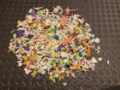 ホネホネザウルスまとめ売り