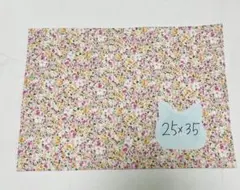 Item thumbnail for item 699fb790-fb7b-4d07-b2cd-bef962c0e57e