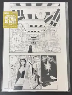 ONE PIECE ALL PAGES アラバスタ編 ナミ ビビ - メルカリ