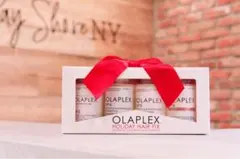Olaplex Holiday Hair Fix 4本セット