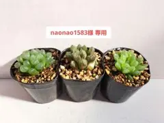 naonao1583様専用 お問い合わせ品