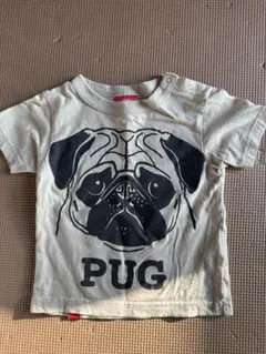 Item thumbnail for item 9b21be53-4eab-4b9b-97b2-9ebbc7067b9f