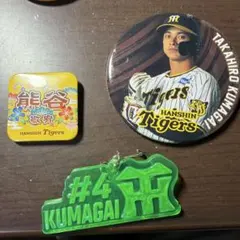 缶バッジ　さんま　明石家さんま 明石家さんま 缶バッジ - メルカリ