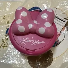 ミニーのファンダーランド　ポップコーンバケット パルパルーザ　ディズニーランド