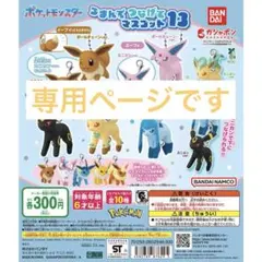 Maru様 専用ページ