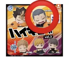 ハイキュー!! vol.3 おねむたん 田中