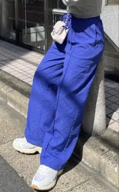 alley by w closet イージーパンツ　ナルシス　ZARAのサムネイル