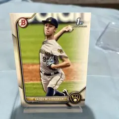 Item thumbnail for item 450b13d0-581a-4eb0-b422-e6bae3791bcb